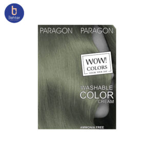 شامپو رنگ Smoky Silver 121 پاراگون Paragon Smoky Silver Color Shampoo 121