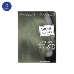 شامپو رنگ Silver 122پاراگون  Paragon Silver Color Shampoo 122