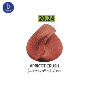 شامپو رنگ ساشه ای گارنیک شماره 20.24 Apricot crushحجم 30میل Garnic Color Shampoo Sachet No. 20.24 Apricot Crush, 30 ml