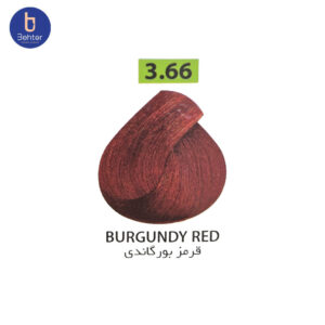 شامپو رنگ ساشه ای گارنیک شماره 3.66 Burgundy redحجم 30میل Garnic Color Shampoo Sachet No. 3.66 Burgundy Red, 30ml