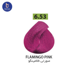 شامپو رنگ ساشه ای گارنیک شماره 6.53 Flamingo pinkحجم 30میل Garnic Color Shampoo Sachet No. 6.53 Flamingo Pink, 30ml