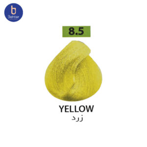 شامپو رنگ ساشه ای گارنیک شماره 8.5 Yellowحجم 30میل Garnic Color Shampoo Sachet No. 8.5 Yellow, 30 ml