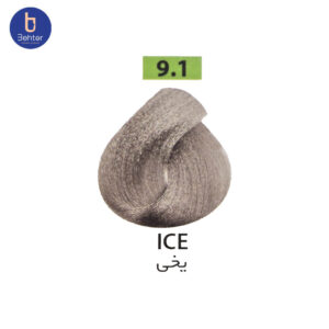 شامپو رنگ ساشه ای گارنیک شماره 9.1 Iceحجم 30میل Garnic Color Shampoo Sachet No. 9.1 Ice, 30 ml