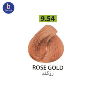 شامپو رنگ ساشه ای گارنیک شماره 9.54 Rose goldحجم 30میل Garnic Color Shampoo Sachet No. 9.54 Rose Gold, 30 ml