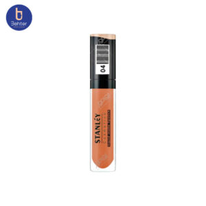 رژ لب مایع مات 24 ساعته شماره 4 استنلی Stanley 24-hour matte liquid lipstick4