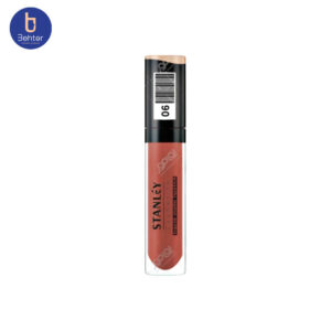 رژ لب مایع مات 24 ساعته شماره 6 استنلی Stanley 24-hour matte liquid lipstick6